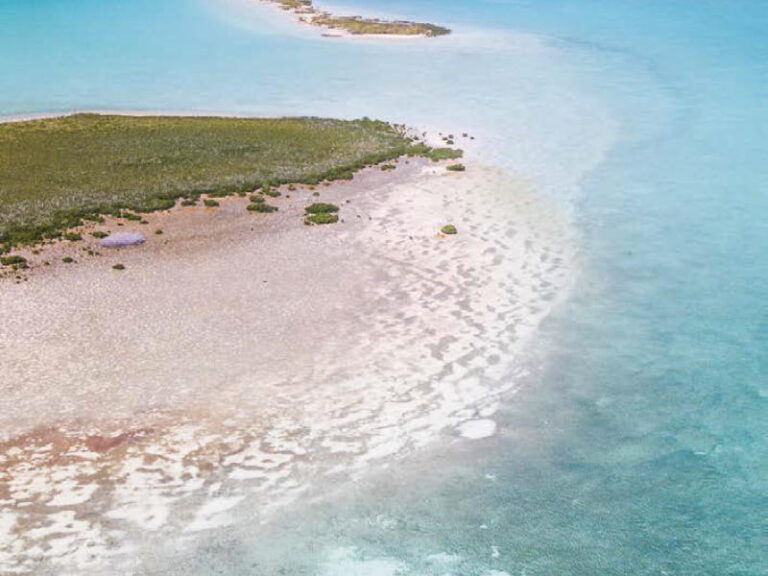 abaco-gallery-test2-09