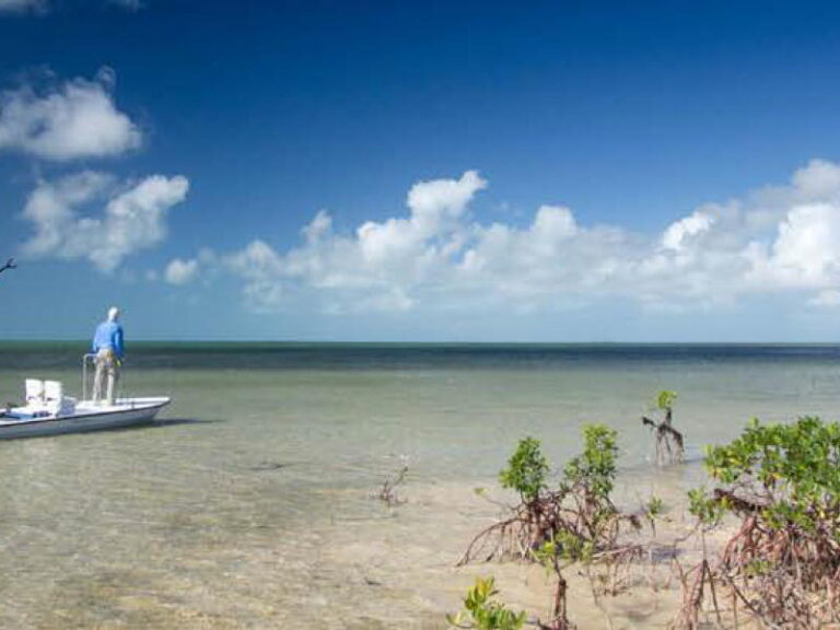 abaco-gallery-test2-10