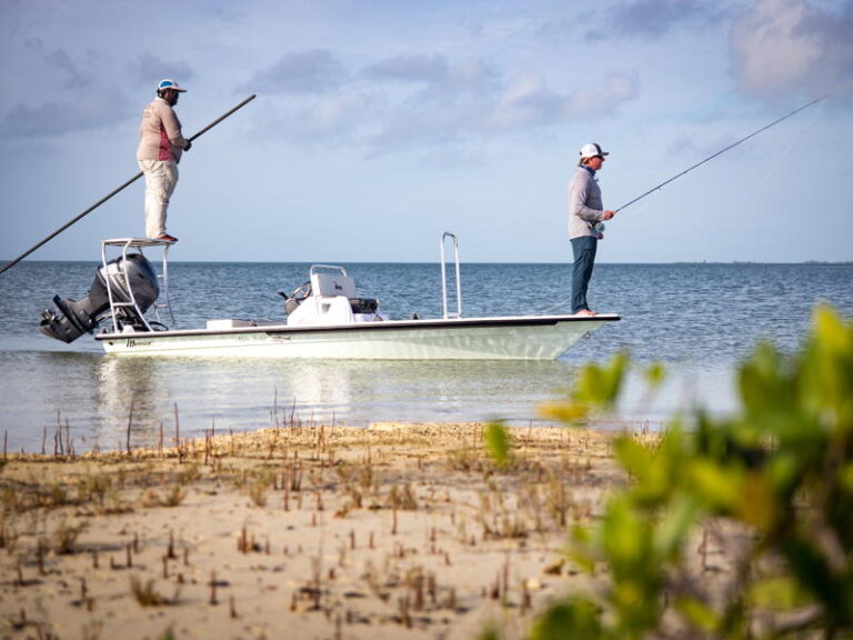 abaco-gallery-test2-18