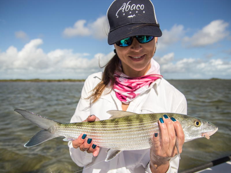 abaco-gallery-test2-25