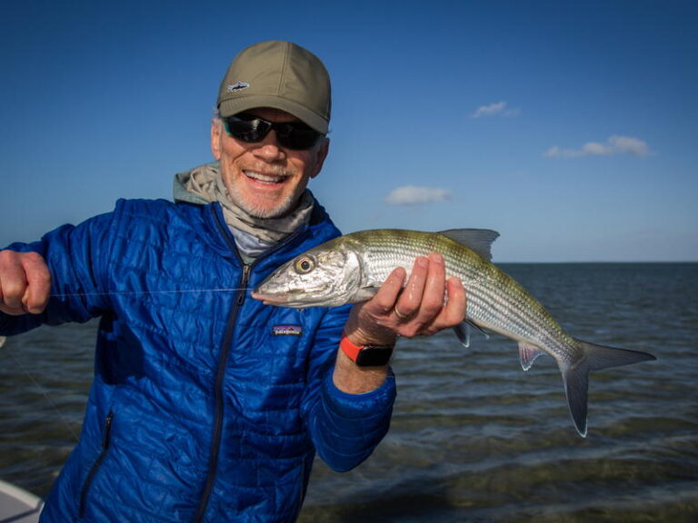 abaco-gallery-test2-26