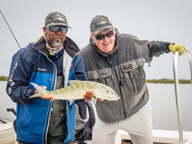 abaco-gallery-test2-29