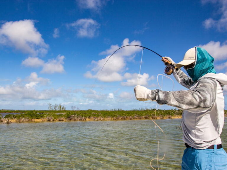 abaco-gallery-test2-32