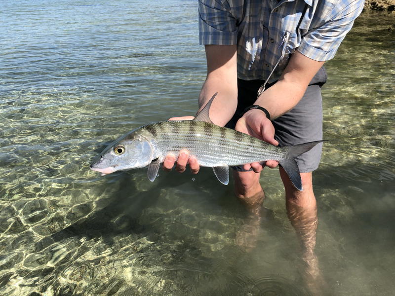 abaco-gallery-test2-33