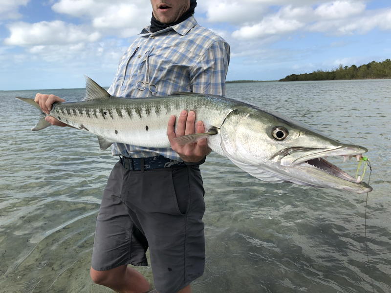 abaco-gallery-test2-35